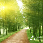 A Bank Holiday Weekend Pause – From All of Us at Debbie Burbage Recruitment