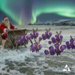 A Moment to Pause, Reflect, and Reconnect